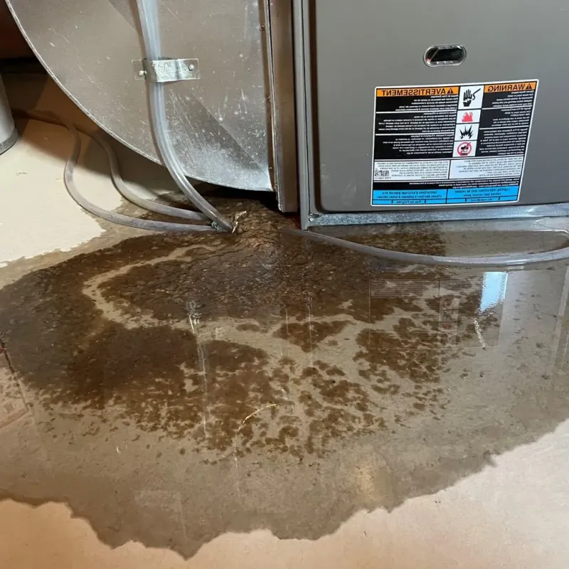 Pipe Burst and Leak Restoration in Lamar, AR